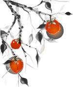 中国方志,首部中国方志学专著