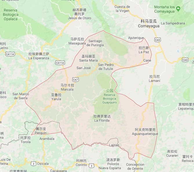 世界咖啡四大产区,咖啡产区图