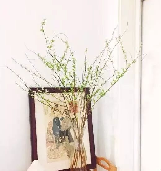 多种花材该如何插花,插花必备的几种花