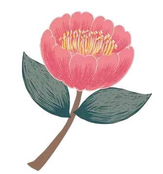 为他们鼓掌！开发区有这样一群人带着公益的梦想不断前行