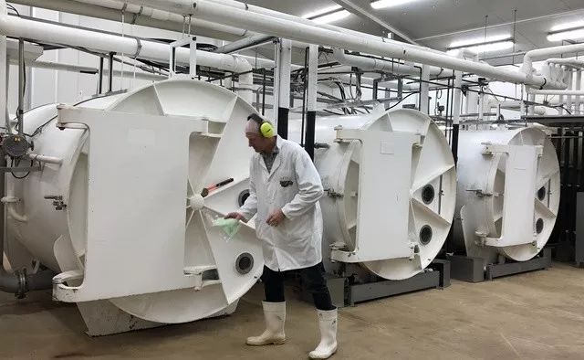 肩颈疼痛膏日本,澳洲缓解关节疼痛霜