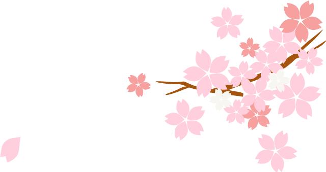 2024年妇科腹腔镜学习班,妇科微创腔镜学习班