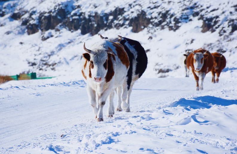 杭州特价机票购买攻略,杭州机票优惠团购