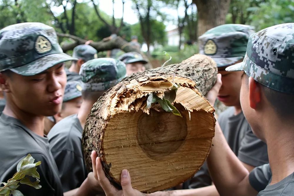 入伍一个月，新战友们对26个英文字母有了全新的认识！