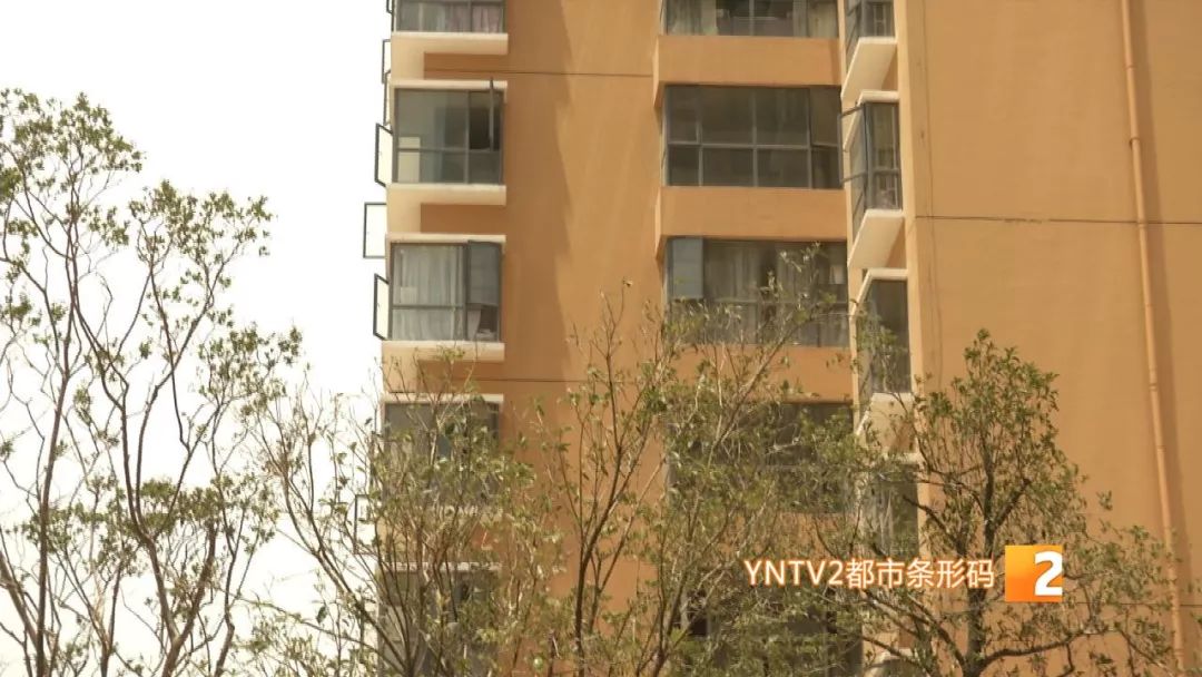 凤凰雅苑最新信息,违规楼盘