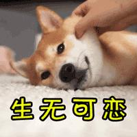 「参谋生活」一个大消息传来,再也不用担心丢火车票啦!