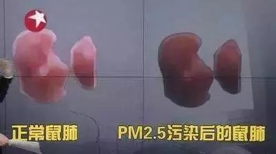 咽炎、干咳救命药！澳洲人的“肺部清道夫”！每天1片，堪比万元洗肺！再也不怕雾霾二手烟了