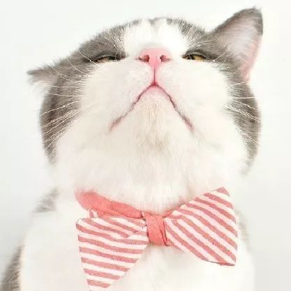 做完消融手术后胸闷憋气,射频消融术后胸闷气短是怎么回事