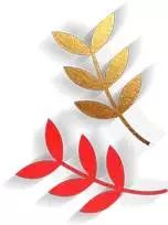 经历世事沧桑依然初心不改,岁月流逝初心不改的话