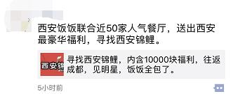 福建人当心！锦鲤*局骗**肆虐，至少50多万人上当！