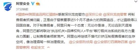 猫娘售假完整版,网红猫娘最新事件