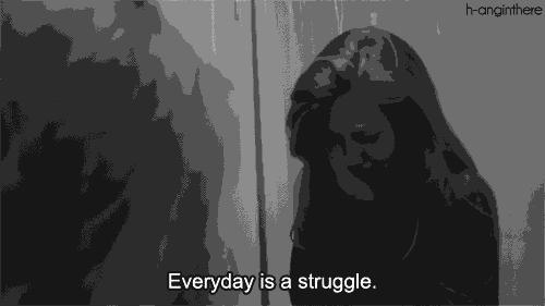 哈佛学霸每天都看的视频,哈佛学生看中国