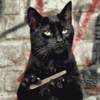 深圳到迪拜飞机票价,深圳直飞迪拜航班有哪些