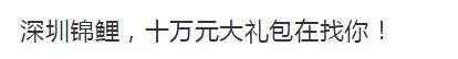 锦鲤为什么那么火,锦鲤为什么火了