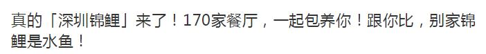 18年的锦鲤活动有哪些,锦鲤活动什么时候开始