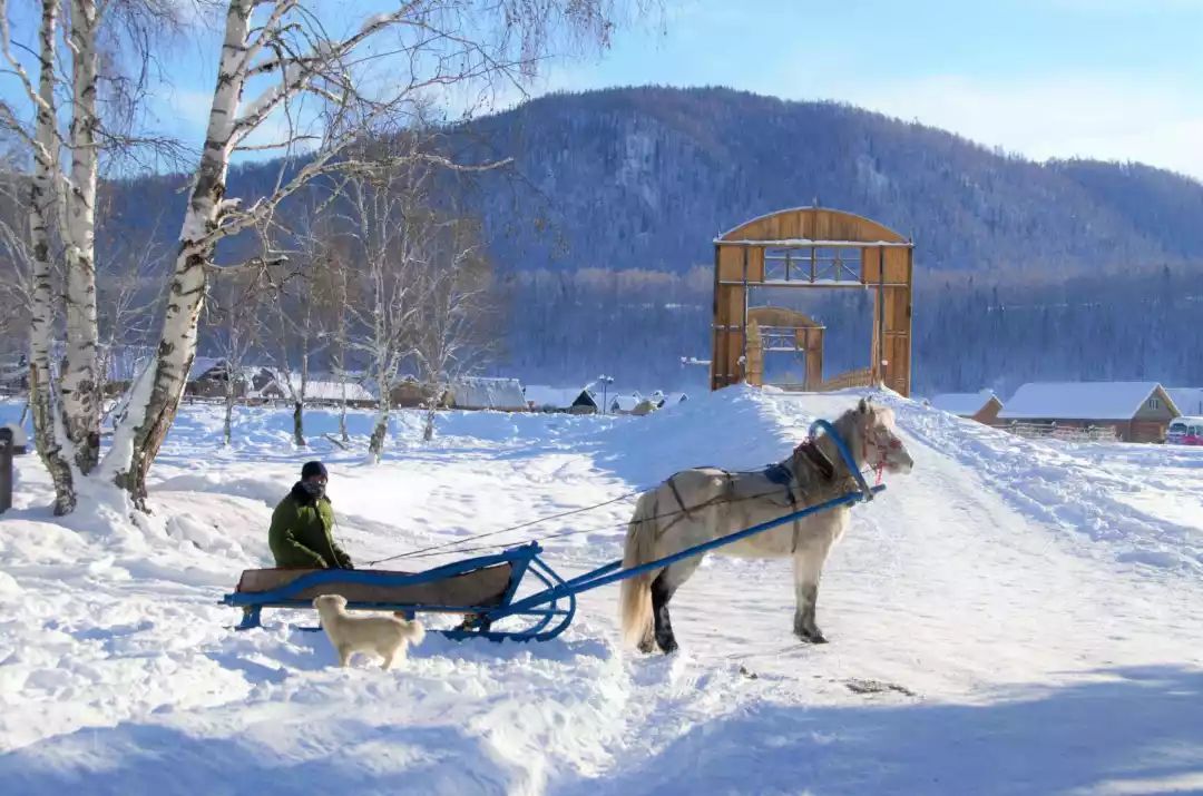 喀纳斯秋雪美景,喀纳斯雪国