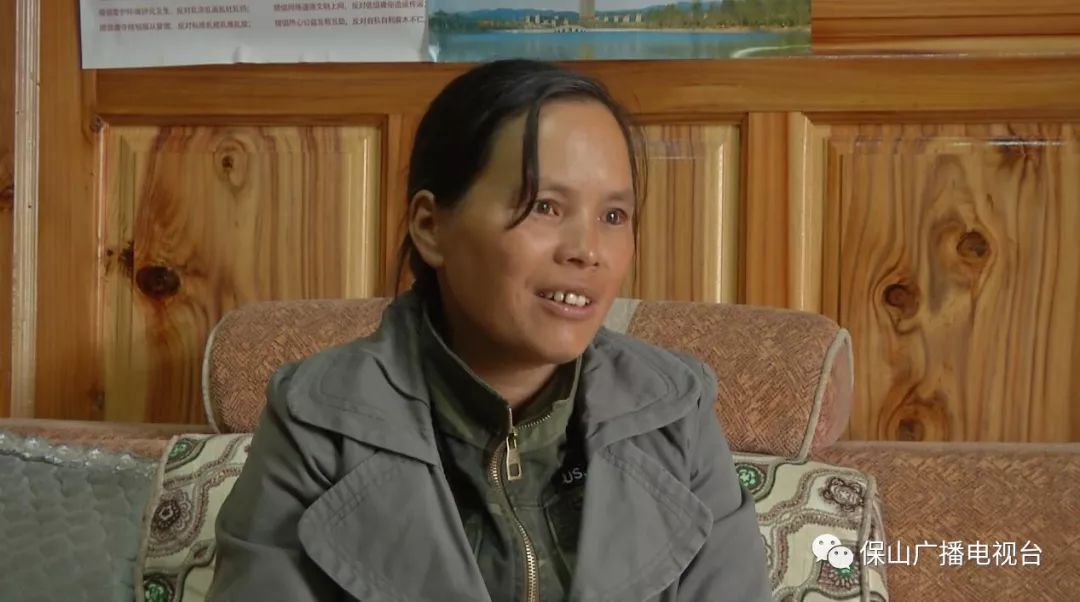 龙陵石斛产业合作,龙陵镇石斛