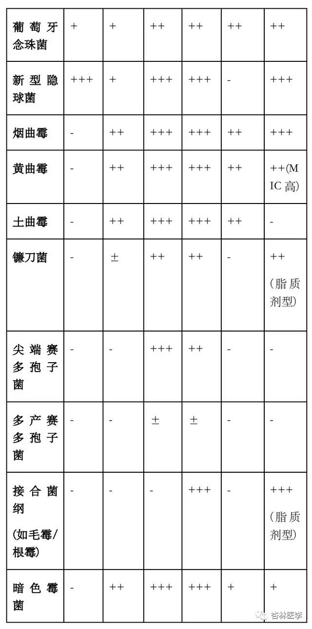 扒一扒临床常见的真菌……