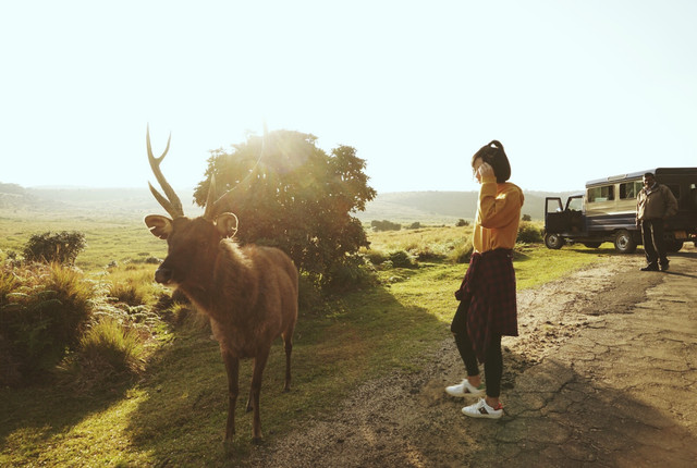 斯里兰卡10天自由行攻略,上海飞斯里兰卡路线