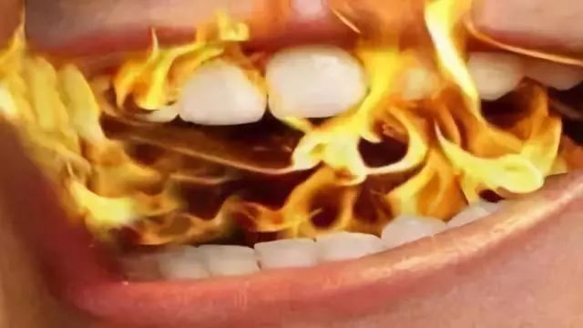 鹿城健康365链接,鹿城健康365什么意思