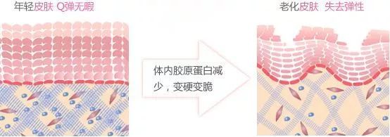 网红抗老面霜,35款网红修护霜