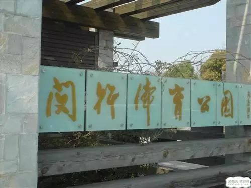 去有香味的地方,去有桂花的地方