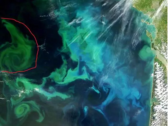 每天喷2下，近视竟然降低了200度？西班牙人都买疯了！还能缓解眼部疲劳，预防老花眼、白内障！