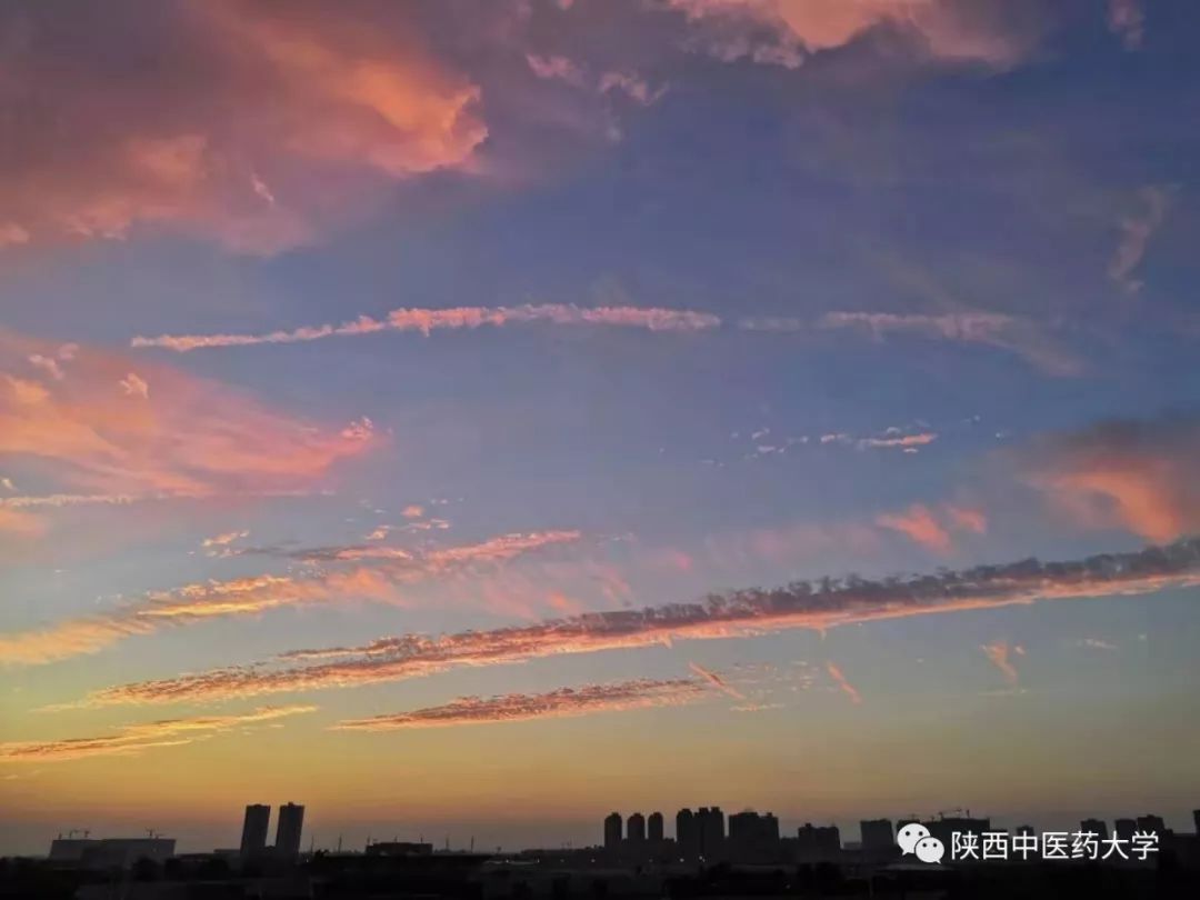 陕中大最火的这几款色号，你种草了么？