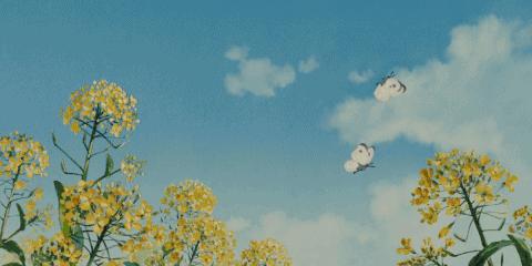 苏州人造草坪运动场养护服务,公园草坪怎么养护效果最好