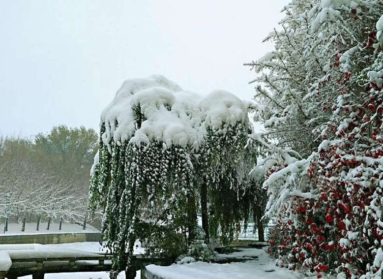 游·达坂城｜下雪了，一起来达坂城看美景~