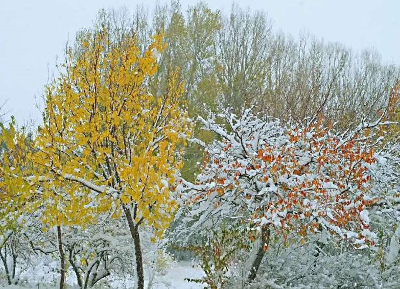 游·达坂城｜下雪了，一起来达坂城看美景~