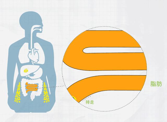 排油减脂抗糖解油腻,吸油刮油减肥法