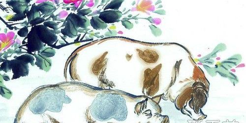 1947年属猪人2024年健康运势,1947年属猪女2022年运势