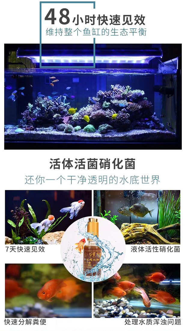 养殖罗非要多久,养殖罗非要几个月