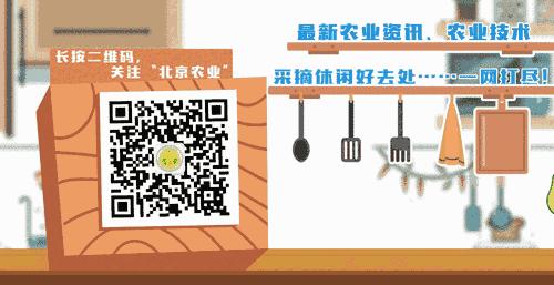 防虫网是否有必要安装,新型防虫网特点及作用