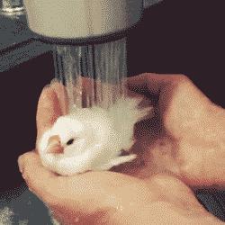 浴室里的小太阳真的很冷吗 (小太阳用在浴室够暖和吗)