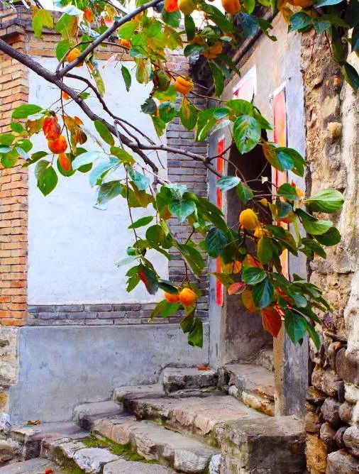 初冬太原附近游玩景点推荐带孩子,太原周边秋景最美的地方