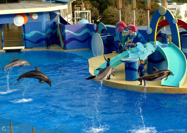 香港住宿攻略200-300元的酒店,香港海洋公园附近有什么酒店