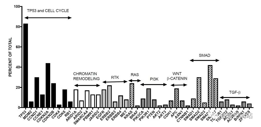 食管鳞癌病例分析,食管鳞癌会基因突变吗