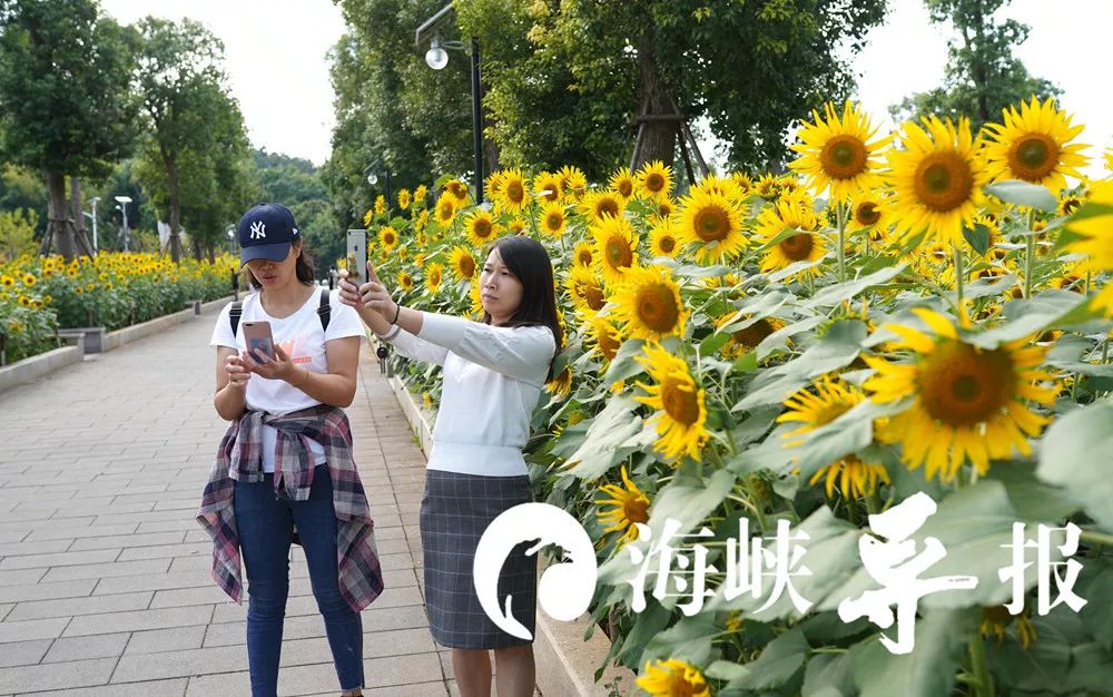 带你看美丽的厦门海边美景,厦门海洋最美丽的风景