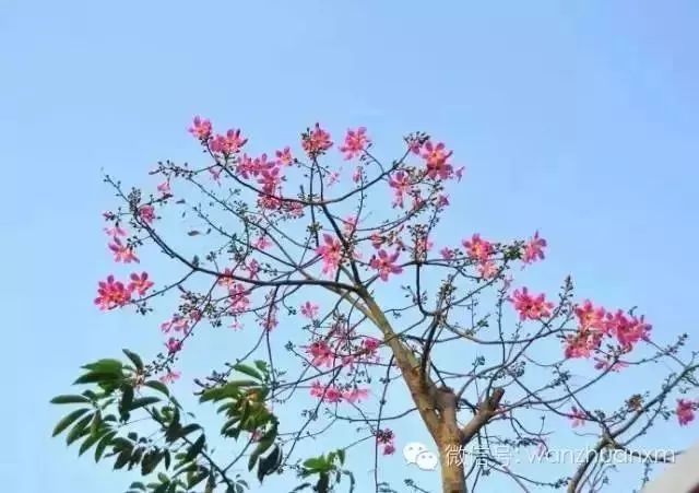 带你看美丽的厦门海边美景,厦门海洋最美丽的风景