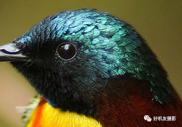 清晰度和锐化对比图,清晰度和锐化两个都需要调整么