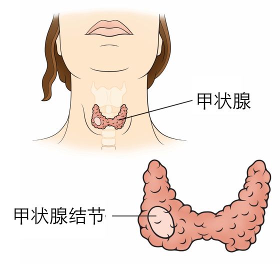 甲府事件真假,甲府事件可信度