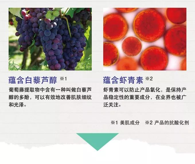 来自日本的HQ祛斑霜,一月一支,淡斑抗皱,让肤色重回净白透亮