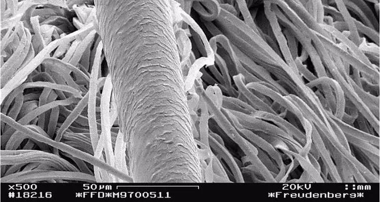 德国冰丝枕套,枕套德国蚕丝