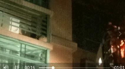 东莞清溪马蜂,清溪找马蜂