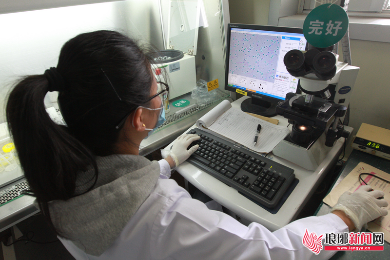 看女娲造人的视频,女娲造人视频在线观看