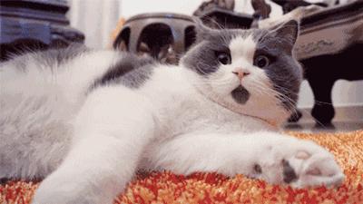 花式套套小盘点