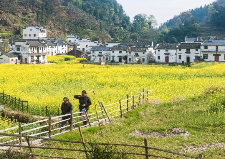 这家扎根在花海的悦榕庄即将迎来暖意春天！千元直降还含SPA,高铁1.5h!