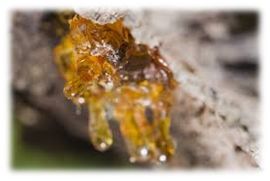 NC×NYR｜一堂疗愈皮肤与身心的DIY课堂，本周六如约而至